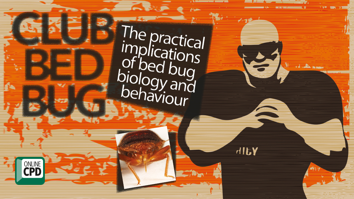 The practical implications of bed bug biology and behaviour